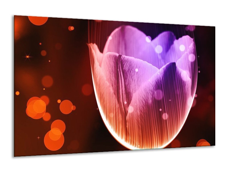 Canvas schilderij Tulp | Paars, Rood | 120x70cm 1Luik