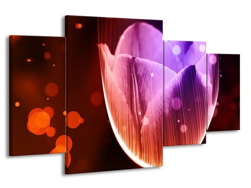 Canvas schilderij Tulp | Paars, Rood | 160x90cm 4Luik
