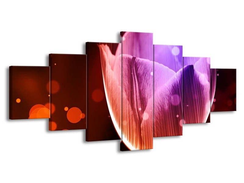 Canvas schilderij Tulp | Paars, Rood | 210x100cm 7Luik