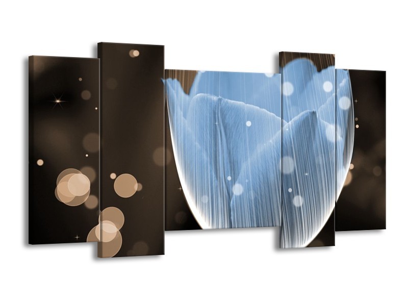 Canvas schilderij Tulp | Blauw, Grijs | 120x65 5Luik