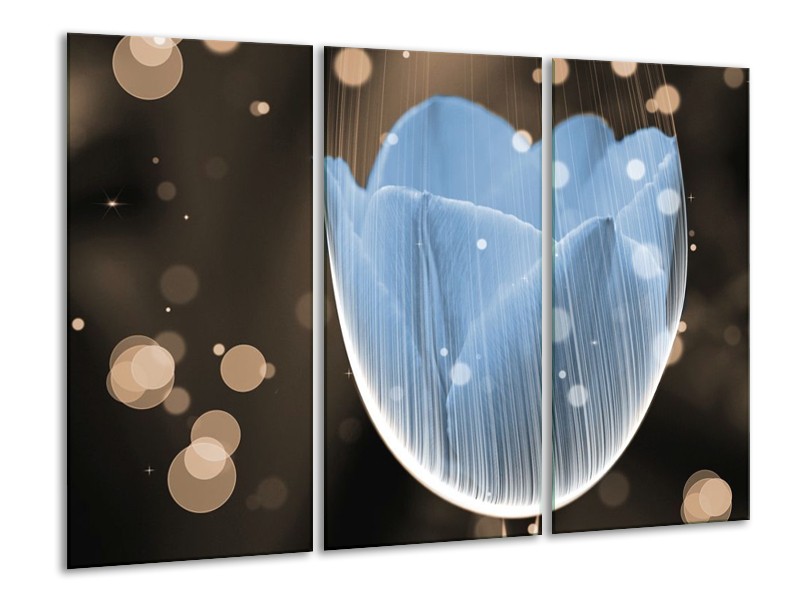Canvas schilderij Tulp | Blauw, Grijs | 120x80cm 3Luik