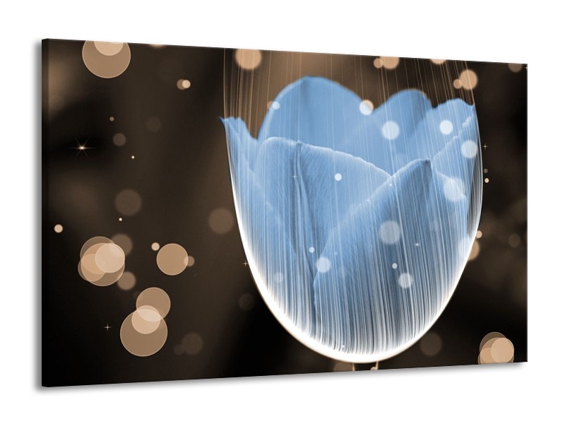 Canvas schilderij Tulp | Blauw, Grijs | 140x90cm 1Luik