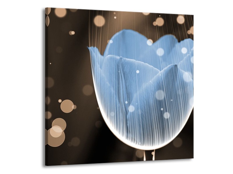 Canvas schilderij Tulp | Blauw, Grijs | 50x50cm 1Luik