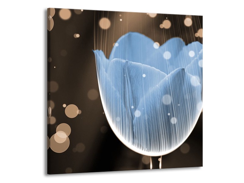 Canvas schilderij Tulp | Blauw, Grijs | 70x70cm 1Luik