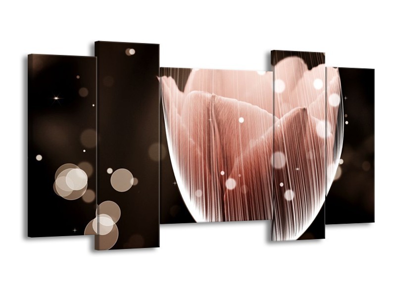 Canvas schilderij Tulp | Bruin, Zwart | 120x65 5Luik