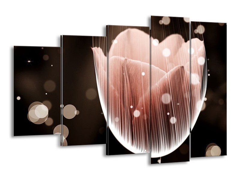 Canvas schilderij Tulp | Bruin, Zwart | 150x100cm 5Luik