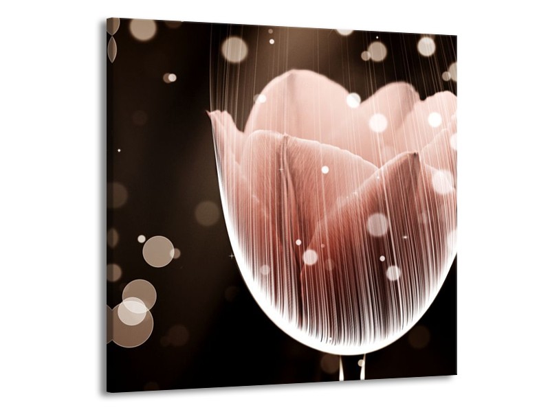 Canvas schilderij Tulp | Bruin, Zwart | 50x50cm 1Luik