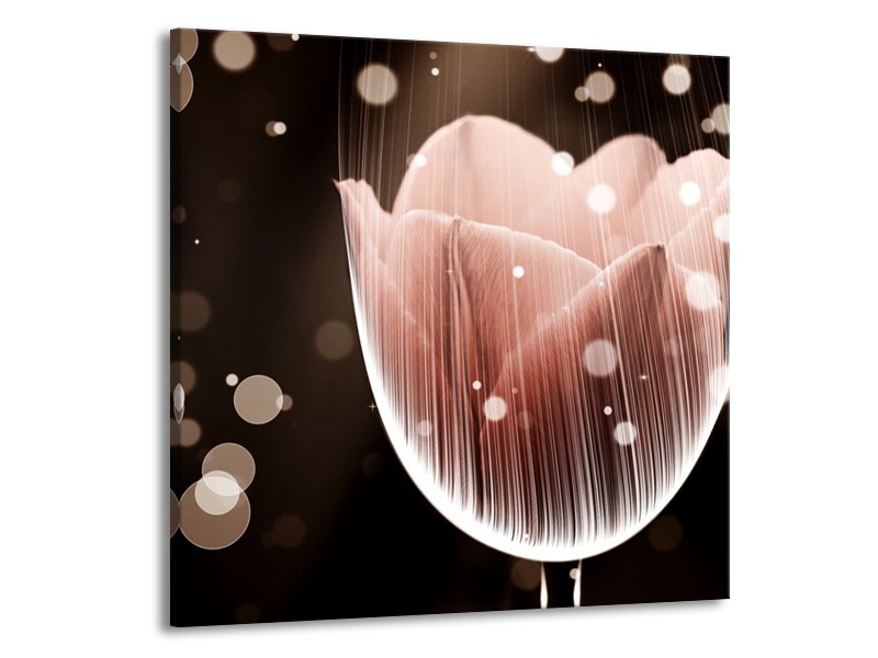 Canvas schilderij Tulp | Bruin, Zwart | 70x70cm 1Luik