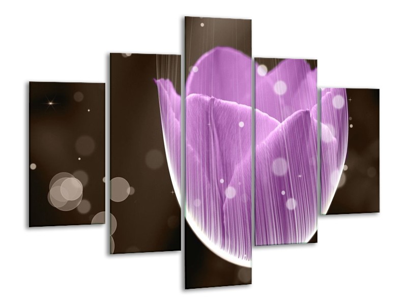 Canvas schilderij Tulp | Paars, Bruin | 100x70cm 5Luik
