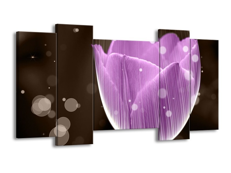 Canvas schilderij Tulp | Paars, Bruin | 120x65 5Luik