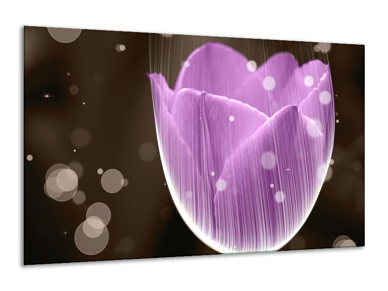 Canvas schilderij Tulp | Paars, Bruin | 120x70cm 1Luik