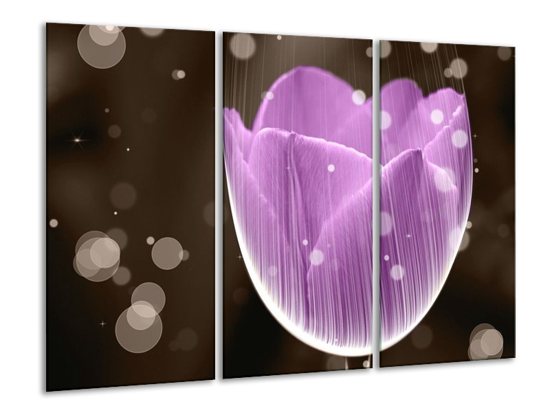 Canvas schilderij Tulp | Paars, Bruin | 120x80cm 3Luik