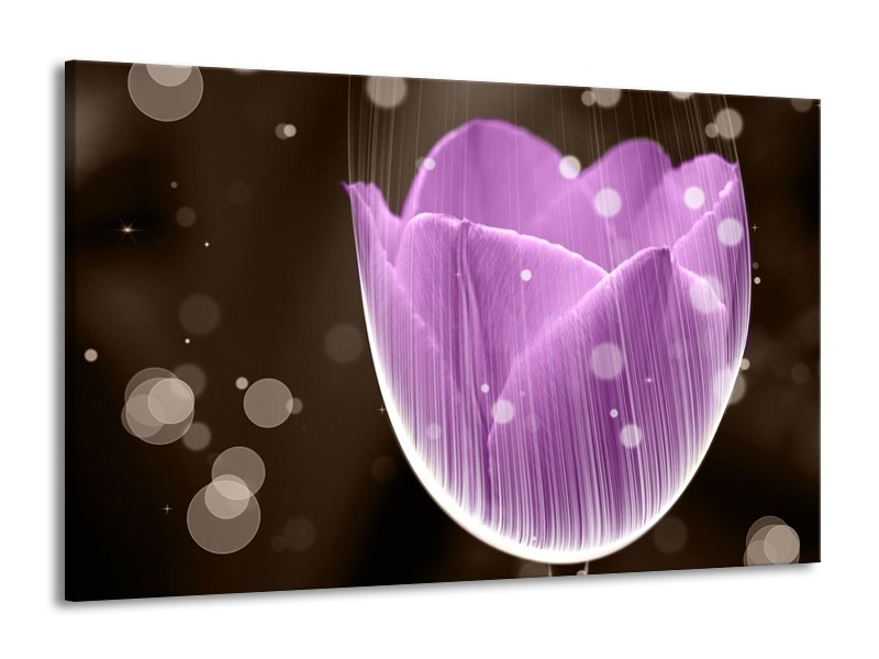 Canvas schilderij Tulp | Paars, Bruin | 140x90cm 1Luik