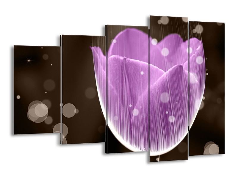 Canvas schilderij Tulp | Paars, Bruin | 150x100cm 5Luik