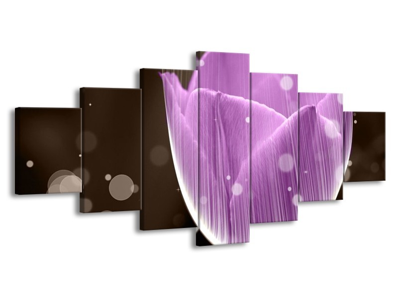 Canvas schilderij Tulp | Paars, Bruin | 210x100cm 7Luik
