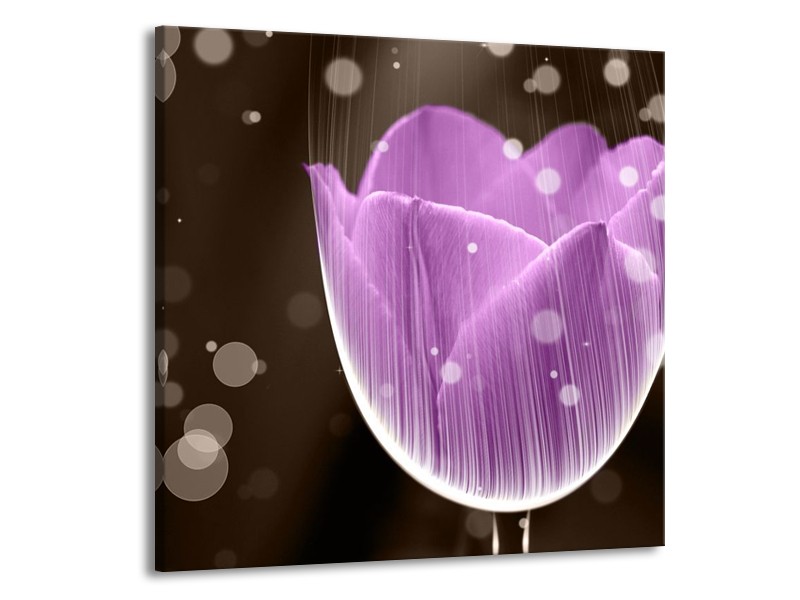 Canvas schilderij Tulp | Paars, Bruin | 70x70cm 1Luik