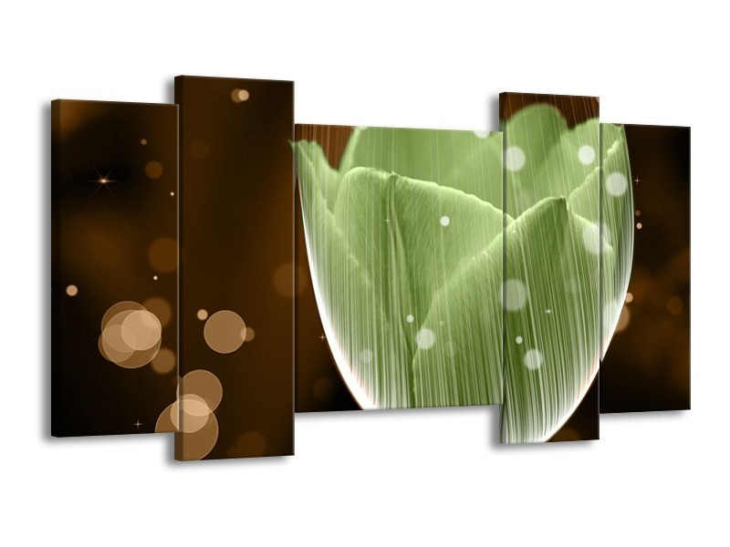 Canvas schilderij Tulp | Groen, Bruin | 120x65 5Luik