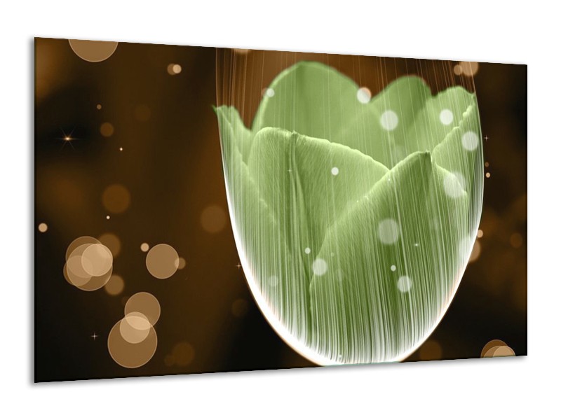 Canvas schilderij Tulp | Groen, Bruin | 120x70cm 1Luik