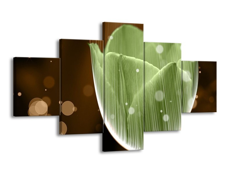 Glas schilderij Tulp | Groen, Bruin | 125x70cm 5Luik