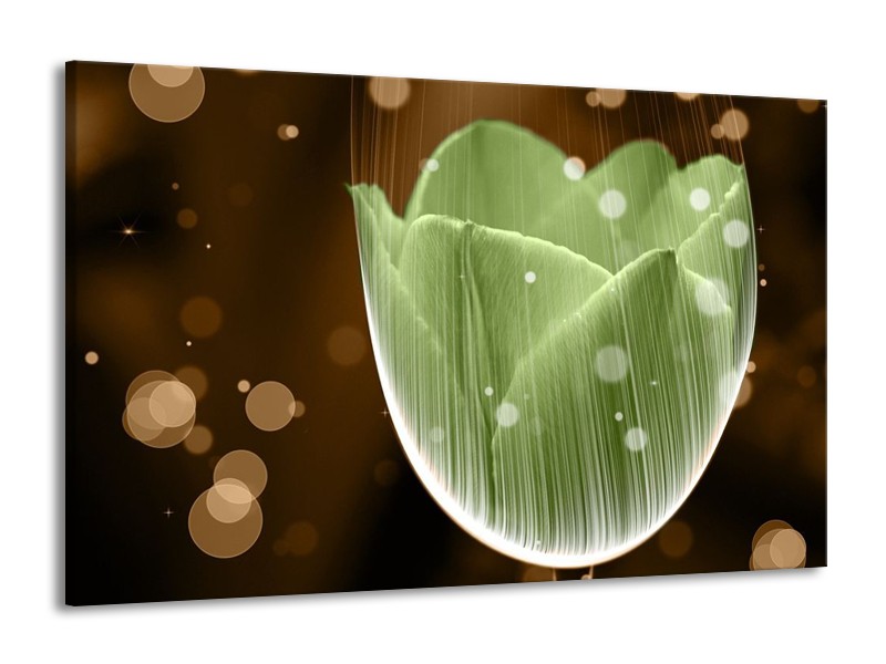 Canvas schilderij Tulp | Groen, Bruin | 140x90cm 1Luik