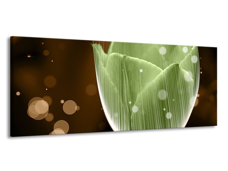 Canvas schilderij Tulp | Groen, Bruin | 145x58cm 1Luik