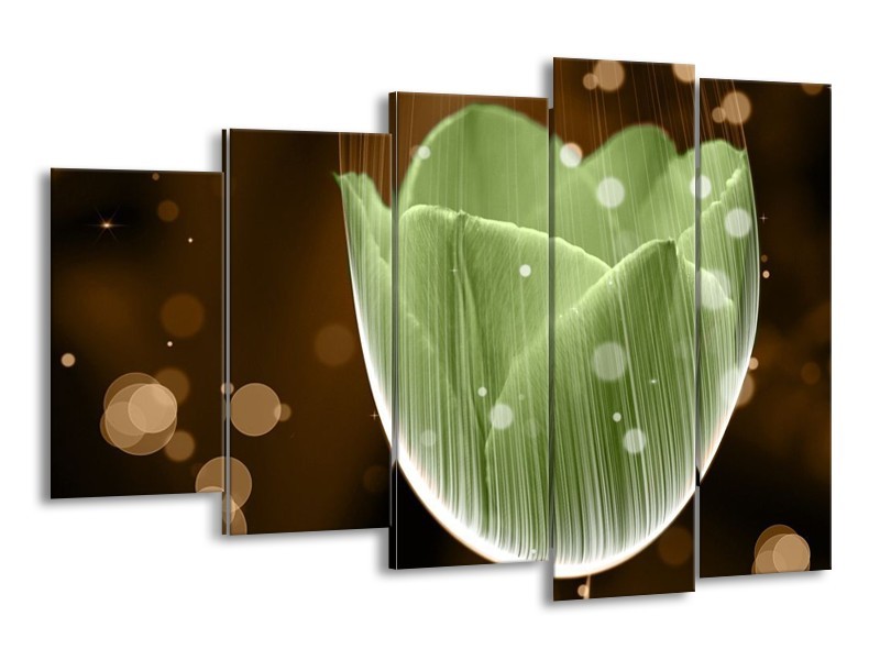 Canvas schilderij Tulp | Groen, Bruin | 150x100cm 5Luik