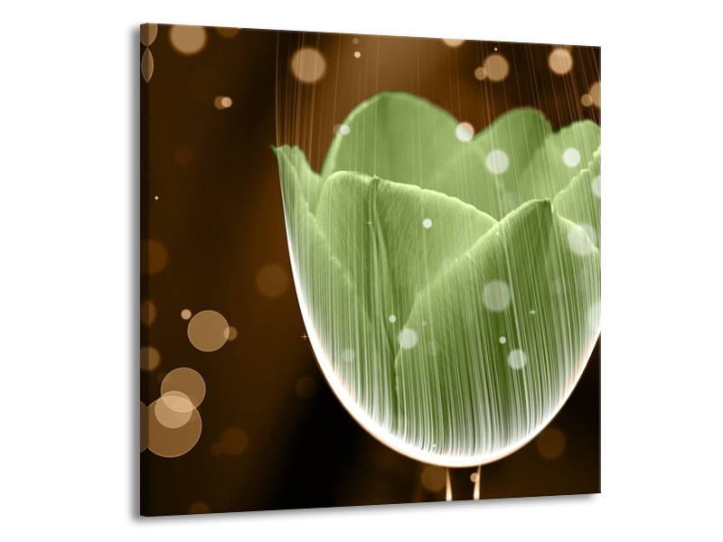 Canvas schilderij Tulp | Groen, Bruin | 50x50cm 1Luik