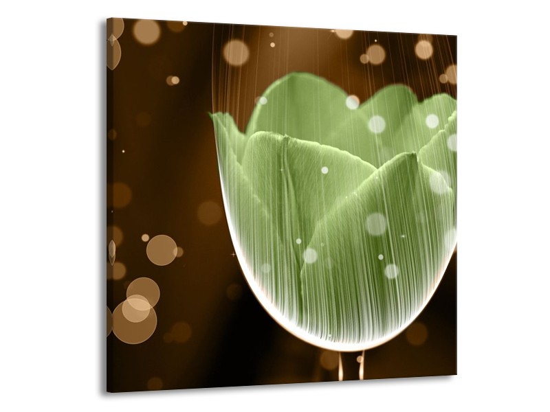 Canvas schilderij Tulp | Groen, Bruin | 70x70cm 1Luik