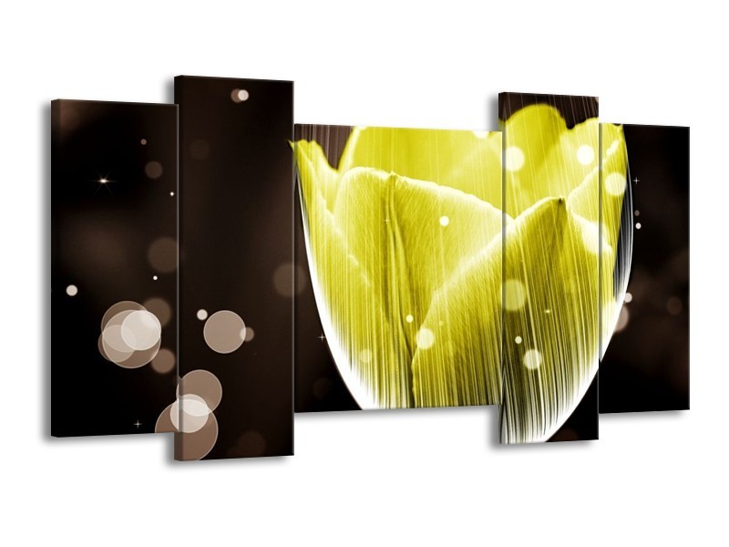 Canvas schilderij Tulp | Geel, Grijs | 120x65 5Luik