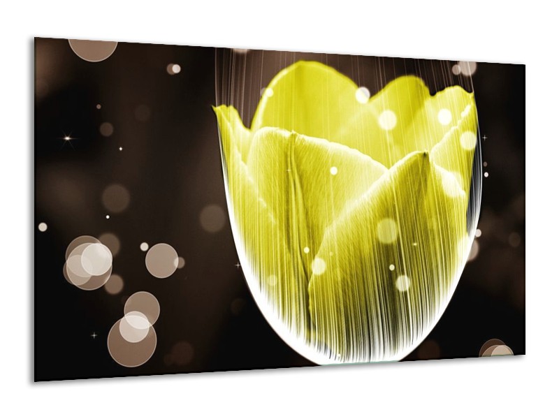 Canvas schilderij Tulp | Geel, Grijs | 120x70cm 1Luik