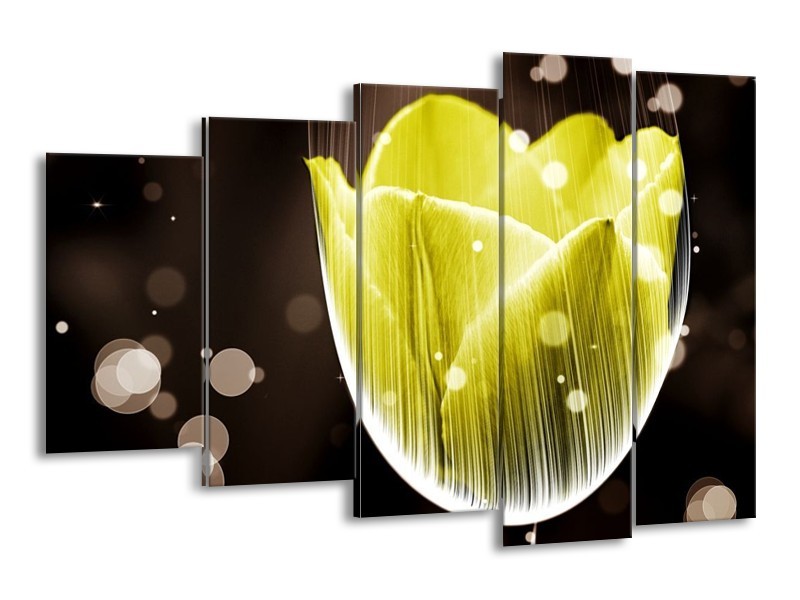 Canvas schilderij Tulp | Geel, Grijs | 150x100cm 5Luik