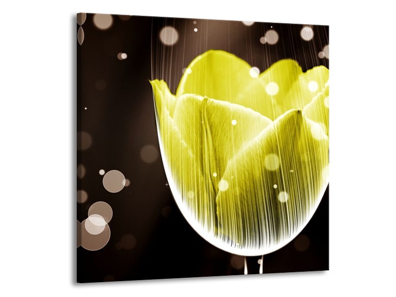 Canvas schilderij Tulp | Geel, Grijs | 50x50cm 1Luik