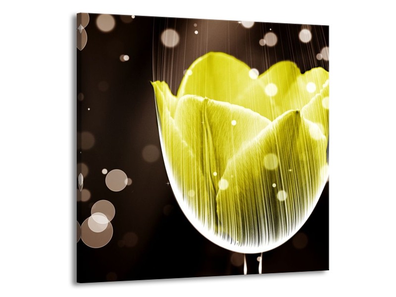 Canvas schilderij Tulp | Geel, Grijs | 70x70cm 1Luik