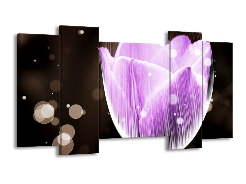 Canvas schilderij Tulp | Paars, Zwart | 120x65 5Luik