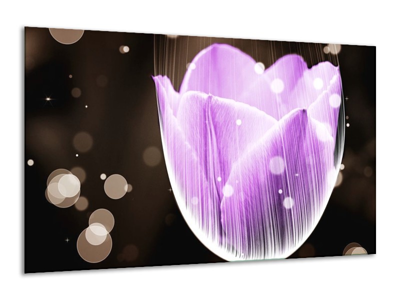 Canvas schilderij Tulp | Paars, Zwart | 120x70cm 1Luik