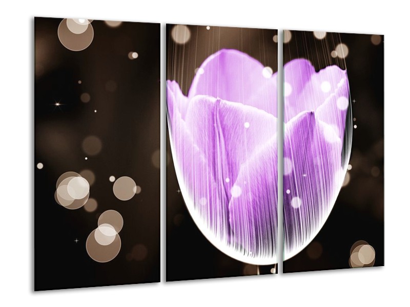 Canvas schilderij Tulp | Paars, Zwart | 120x80cm 3Luik