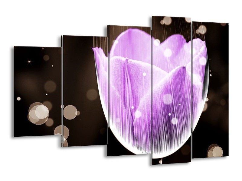 Canvas schilderij Tulp | Paars, Zwart | 150x100cm 5Luik