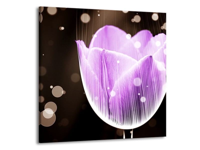Canvas schilderij Tulp | Paars, Zwart | 50x50cm 1Luik