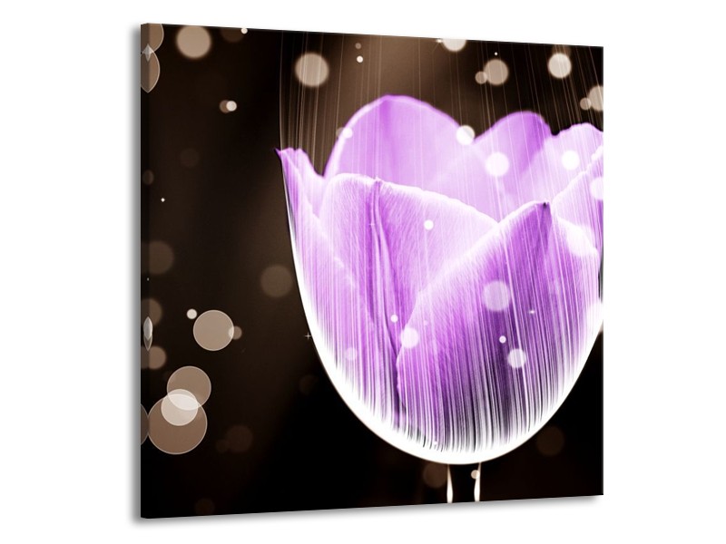 Canvas schilderij Tulp | Paars, Zwart | 70x70cm 1Luik