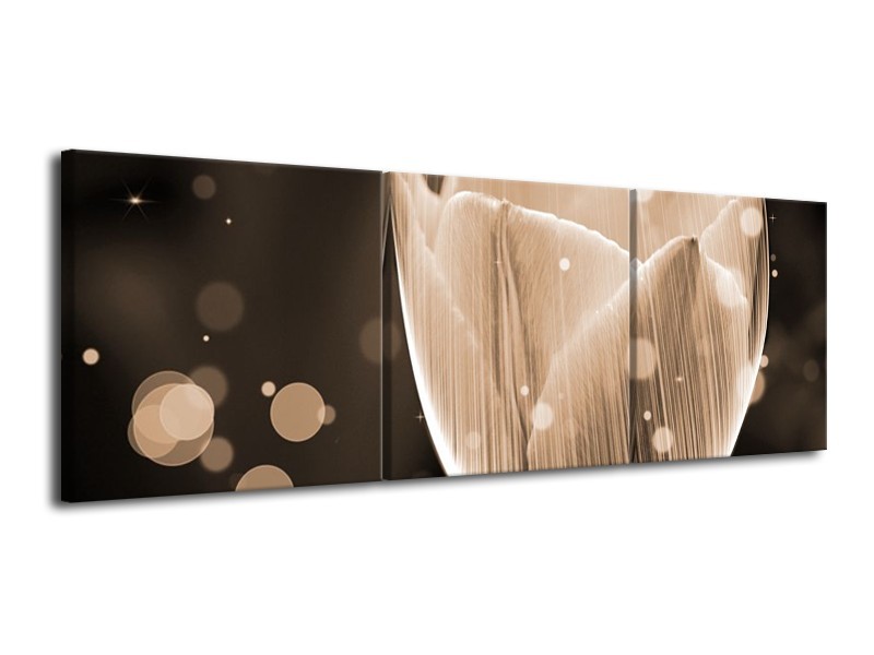 Glas schilderij Tulp | Grijs, Zwart | 120x40cm 3Luik