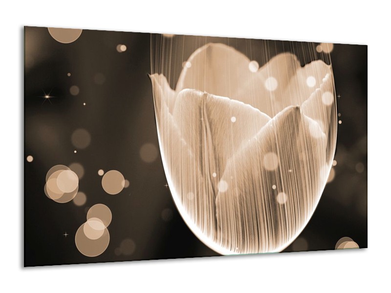 Canvas schilderij Tulp | Grijs, Zwart | 120x70cm 1Luik