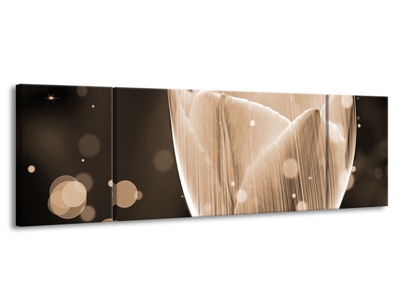 Canvas schilderij Tulp | Grijs, Zwart | 170x50cm 3Luik