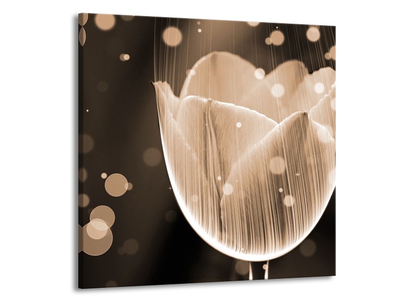 Glas schilderij Tulp | Grijs, Zwart | 50x50cm 1Luik