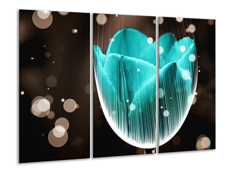 Canvas schilderij Tulp | Blauw, Zwart | 120x80cm 3Luik
