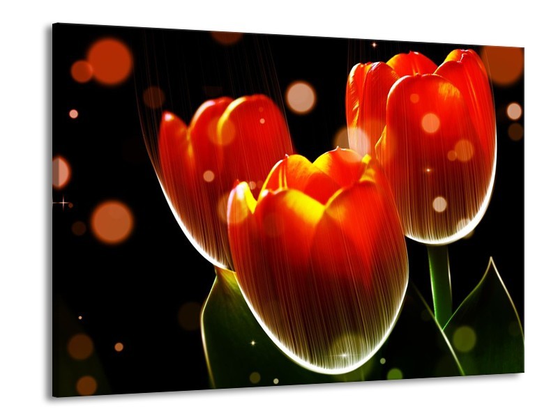 Canvas schilderij Tulp | Oranje, Geel, Rood | 100x70cm 1Luik