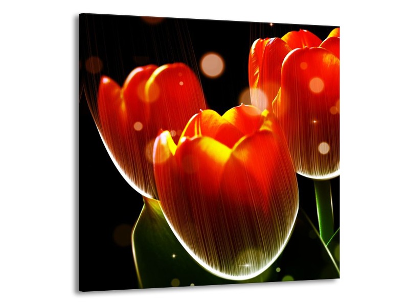 Glas schilderij Tulp | Oranje, Geel, Rood | 50x50cm 1Luik