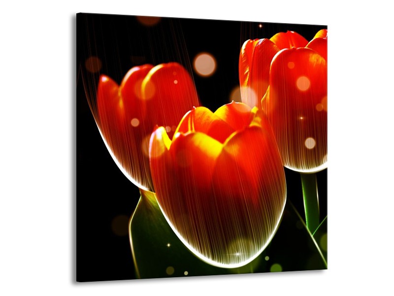 Canvas schilderij Tulp | Oranje, Geel, Rood | 70x70cm 1Luik