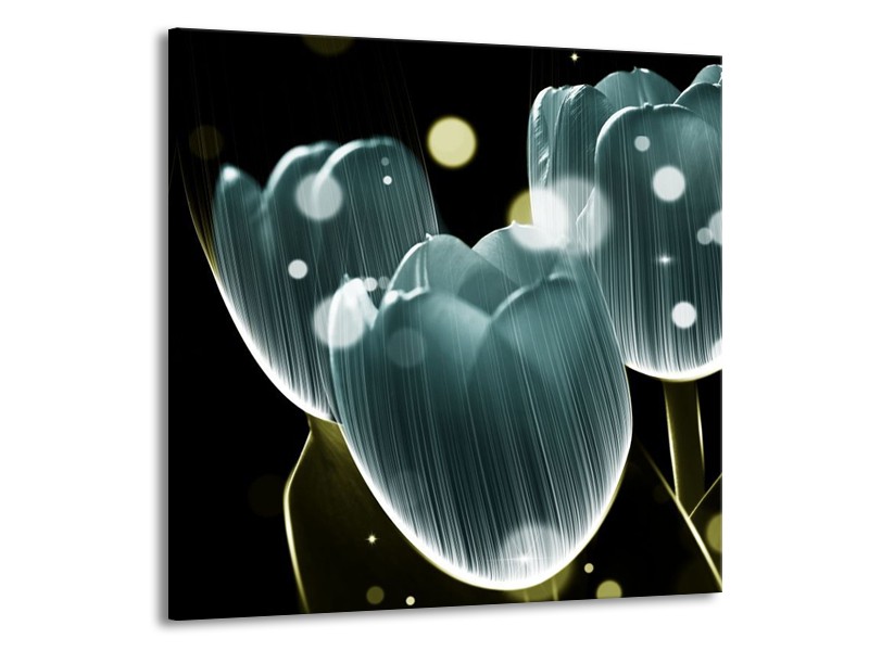 Canvas schilderij Tulp | Blauw, Zwart | 70x70cm 1Luik