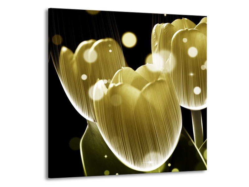 Canvas schilderij Tulp | Geel, Zwart | 50x50cm 1Luik