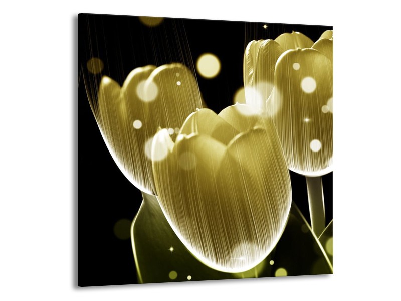 Canvas schilderij Tulp | Geel, Zwart | 70x70cm 1Luik